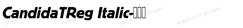 CandidaTReg Italic字体转换